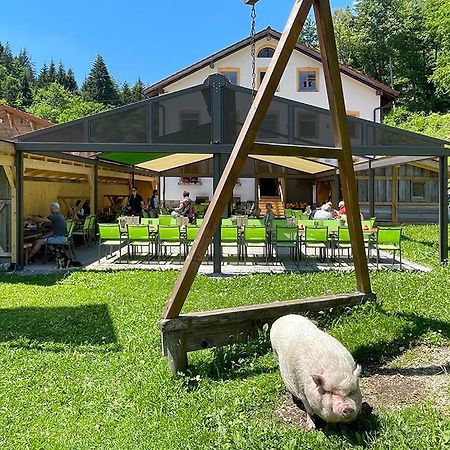 Gasthof Fallmuehle Pfronten Exteriér fotografie