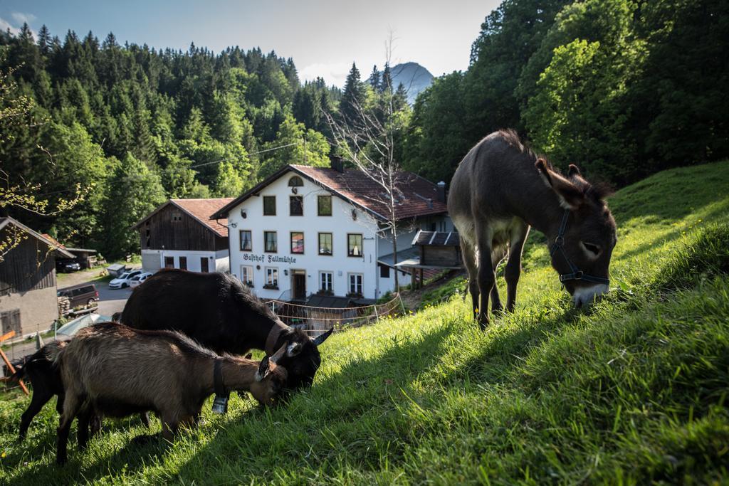 Gasthof Fallmuehle Pfronten Exteriér fotografie
