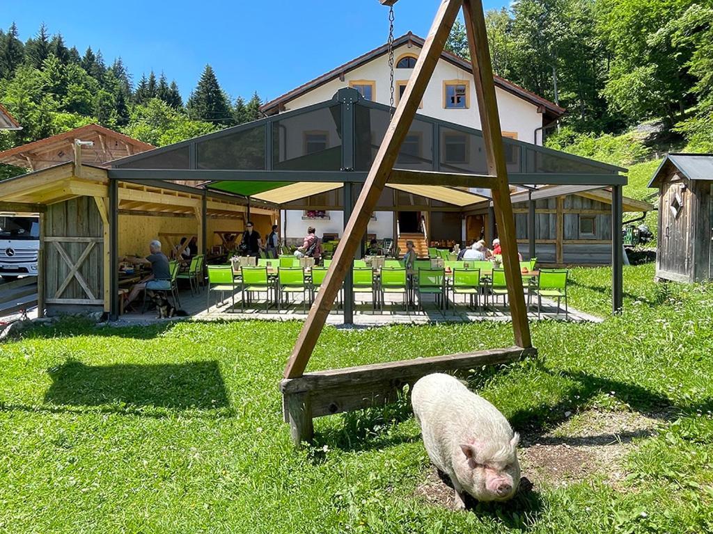 Gasthof Fallmuehle Pfronten Exteriér fotografie