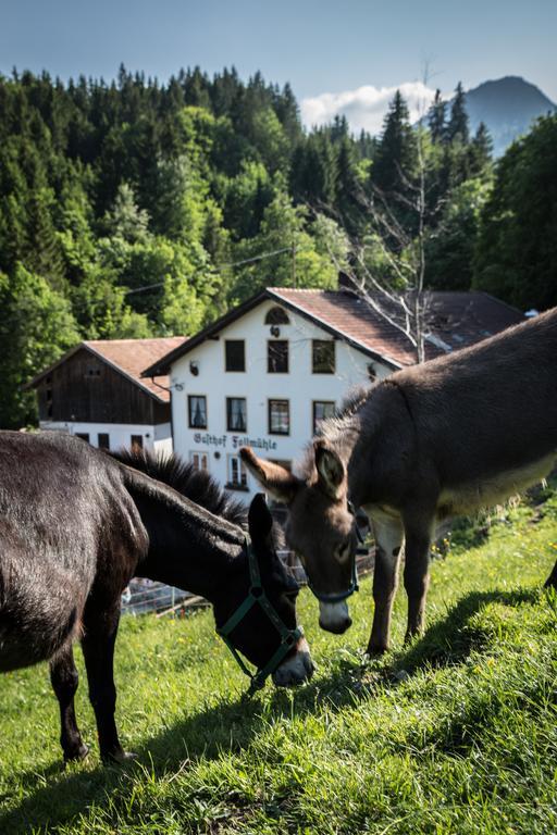 Gasthof Fallmuehle Pfronten Exteriér fotografie
