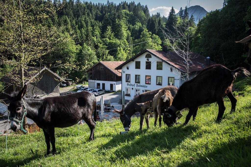 Gasthof Fallmuehle Pfronten Exteriér fotografie