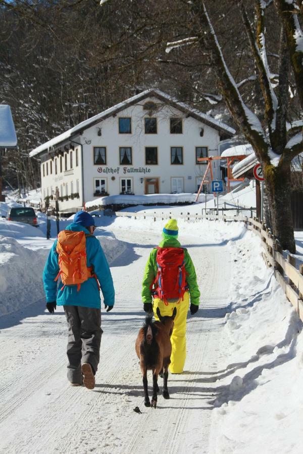 Gasthof Fallmuehle Pfronten Exteriér fotografie