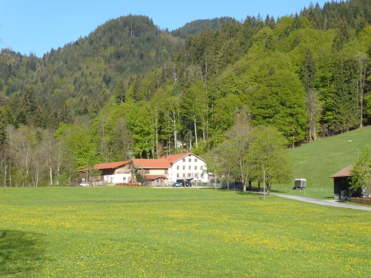 Gasthof Fallmuehle Pfronten Exteriér fotografie